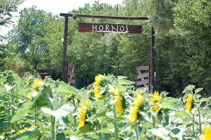 Agriturismo Hornos Numana Exteriör bild